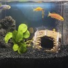 FANTIAN 20 lbs Black Silica Sand. Decorative Aquarium Gravel Substrate