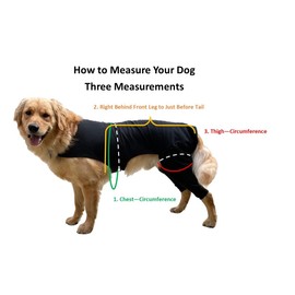 Dog Sleeve for Rear Legs Anti Lick, Dog Surgery Recovery Suit, Dog Pants to Prevent Licking, Dog Cone Alternative for Hind Legs, Large Plus, Blue