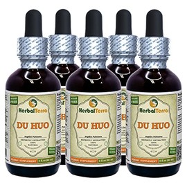 Du Huo, Pubescent Angelica (Angelica Pubescens) Tincture, Dried Root Liquid Extract (Brand Name: HerbalTerra, Proudly Made in USA) 5x2 fl.oz (5x60 ml)