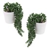 PATIKIL Artificial Succulents, 2Pcs Hanging Artificial Succulents Plant Fake Faux