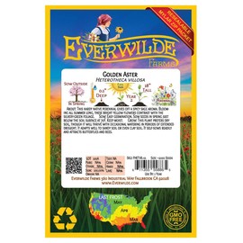 Everwilde Farms - 1000 Golden Aster Native Wildflower Seeds - Gold Vault Jumbo Seed Packet