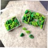 30 Piezas Chinchetas Decorativas Forma de Verde Resina y Multifuncionales
