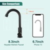 Heyalan Cold Water Only Kitchen Faucet Single Handle 1 Hole