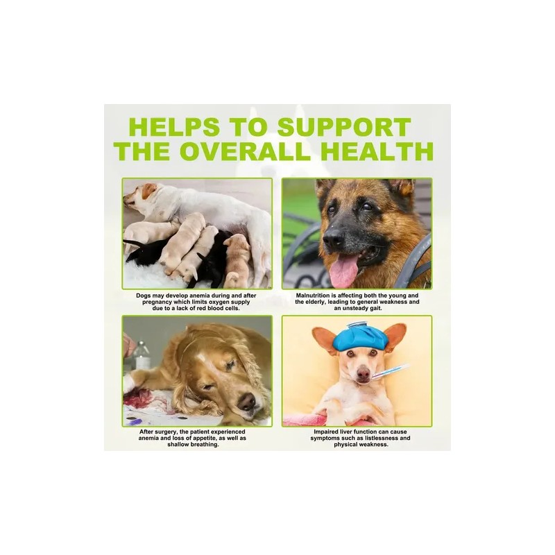 Suplemento Hígado Perros Con Omega 3 Y Cúrcuma Natural 60ml