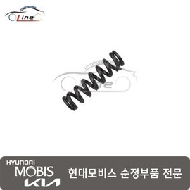 Hyundai Mobis Coil spring 46395 39000 / 코일 스프링 46395 39000