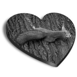 1 x Heart MDF Magnets - Wild Squirrel Wildlife Nature Forest 43434
