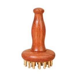 Tizee Brass Wood Meridian Pressure Brush - Scalp Massager for Hair Care, Long Handle Fatigue Relief, Massage Comb, Gua Sha Manual Massager Tool for Men and Women