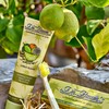 Dr. Bauer's Fruits of Love Citrus Island Toothpaste, Toothpaste in