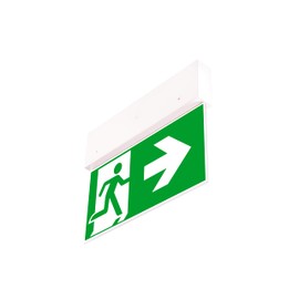 RR-NORD Emergency Light LED Emergency Lighting Exit Emergency Exit Escape Route Light Emergency Light Escape Route Rescue Sign Light (Down Arrow)