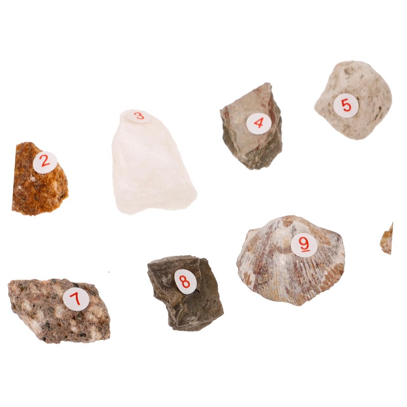 FUNOMOCYA Complete Collection of Mineral Rock Specimens Ideal Teaching Aid