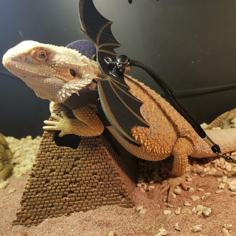 Bearded Dragon Lizard Backpack Carrier with Harness and Leash Set,
