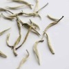 Teapro Supreme Silver Needle White Tea | Bai Hao Yin