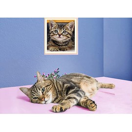 Diamond Art Painting Kits Cat Diamond Art Tabby Cat Diamond Pictures for Adults Diamond Art Cat for Home Wall Decor,12"×16"