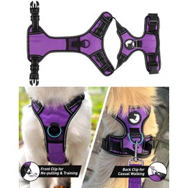 Joytale Dog Harness Large Dog No Pull Harness for Dogs with 2 Leash Clips, Adjustable Soft Padded Dog Harness Reflective with Easy Control Handle for Walking and Training, Purple, XL