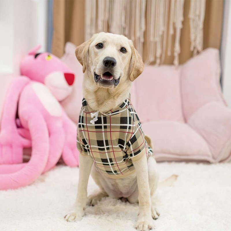 EXPAWLORER Plaid Dog Hoodie - British Style Plaid Pet Sweaters