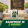 Ortho GroundClear Weed and Grass Killer with Comfort Wand, Kills