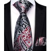 Hi-Tie Boys Black Red Silver Ties Self Tie Silk Striped