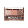 Cezanne Nose & Eyebrow Powder 05 Coral Brown Eyebrow Powder
