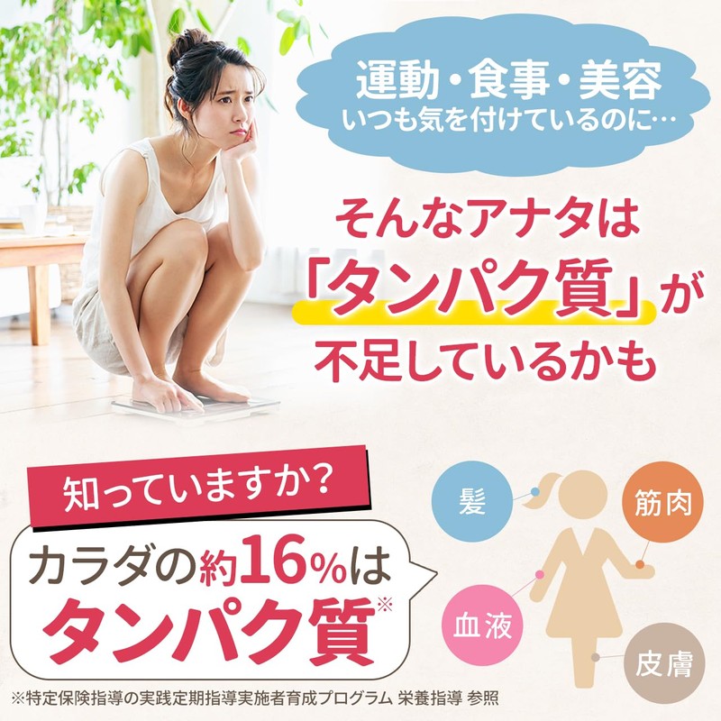 NICHIGA Soy Protein Instant (Made in Japan), 17.6 oz (500