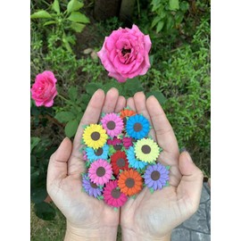 Sunflowers Mulberry Paper 1.25 x 1.25 inches Mixed Colors Paper Flowers with Brown Centre 50 Pcs - Best for Scrapbooking and Creative Craft Projects Mulberry Paper Flowers