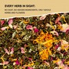 Organic Herbs for Women Herbal Tea Blend with Lemon balm,