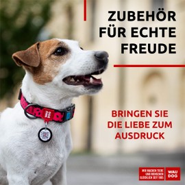 WAUDOG Nylon Collar Dog Collar Large Dogs Dog Collar Medium Dog Collar Small Dog Collars Nylon Dog Collar Puppy Adjustable Digital Dog Tag