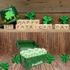 St. Patrick's Day Twist Lollipops 12-Pack, Party Favor Box, Individually