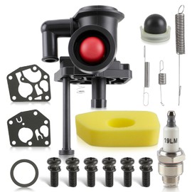 Carbhub 795477 Carburetor for 795469 795469 794147 498809 497619 795475 790206 790218 699660 794161 498811 Carburetor with 698369 Air Filter