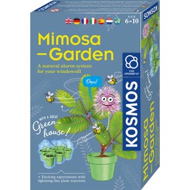 Kosmos 617509 Mimosen-Garten Pflanzen züchten und erforschen Komplett-Set mit Mini-Gewächshaus Experimentier-Set für Kinder ab 6-10 Jahre Mitbringexperiment
