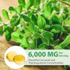 Aceite de orégano con aceite de comino negro, aceite de