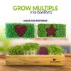 ZESTIGREENS Microgreens Kit: Self-Watering Tray, Seeds, Mats, Bamboo Frame -