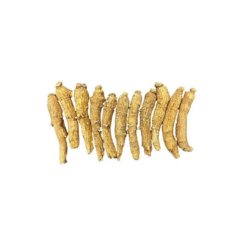 New Green Nutrition Hand-Selected A Grade American Ginseng Medium Thin-Short