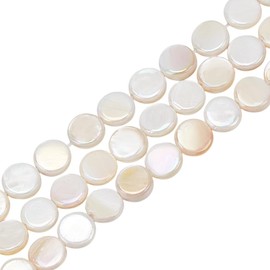 HOBBIESAY 2 Strands About 98Pcs Flat Round Shell Beads 8mm Small Natural Freshwater Disc Coin Beads AB Color Smooth Shell Loose Spacer Beads for DIY Bracelets Earring Necklace Jewelry Making