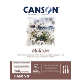 Canson Mi-Teintes C31027P001 Coloured Drawing Paper, Double-Sided: Honeycomb Structure and Fine Grain, 160 gsm, 98 lb, Glued on the Short Side, 24 x 32 cm, White, 20 Sheets