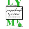 Praying through Lyme Disease (Large Print Edition)