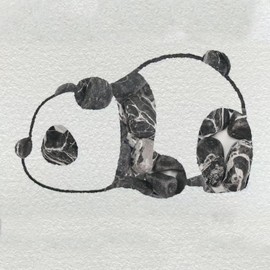 Lechloris Black and White Striped Polished River Rocks for Landscaping-Polished Pebbles for Plants-Garden Decorative Stones-1-2 Large Plant Rocks,Ideal for Aquarium, Home Decor-10lb