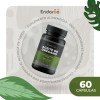 Aceite De Orégano Cápsulas Sin Gluten 60 Unidades Herbal