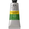 Winsor & Newton Galeria Acrylic Paint, 60-ml Tube, Sap Green,