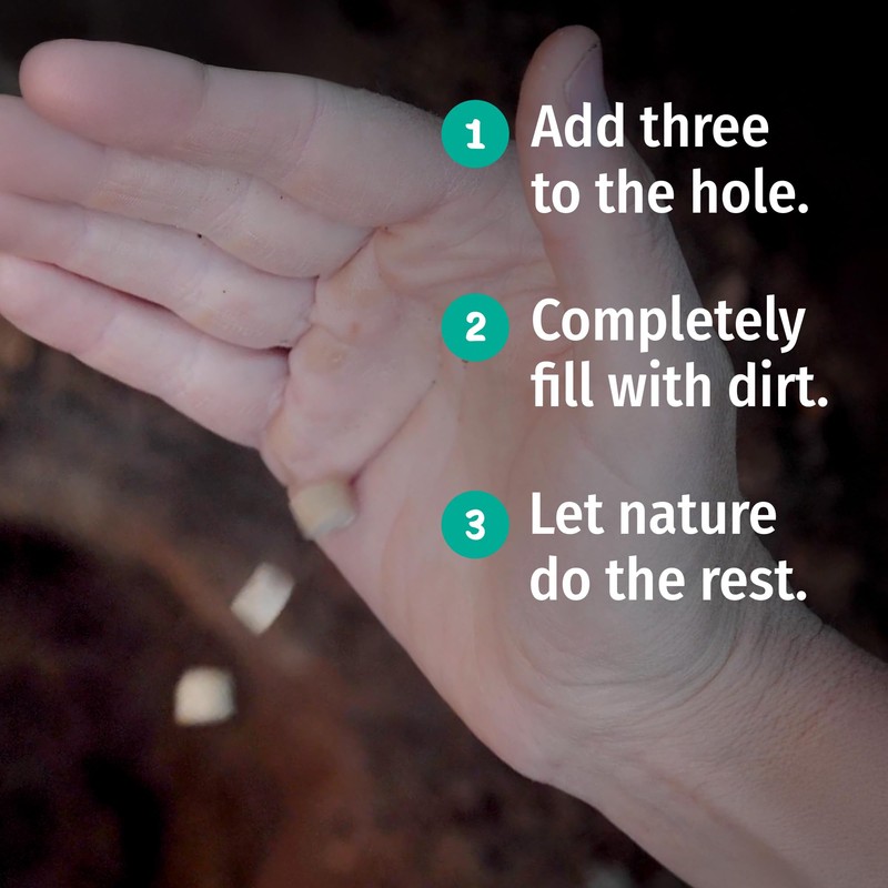 PACT Mycelium Tabs (120-Pack) | Bathroom Supplies for Camping, Backpacking,