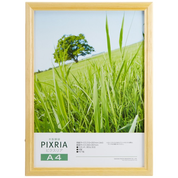 Hakuba Pixria 170704 Wooden Picture Frame