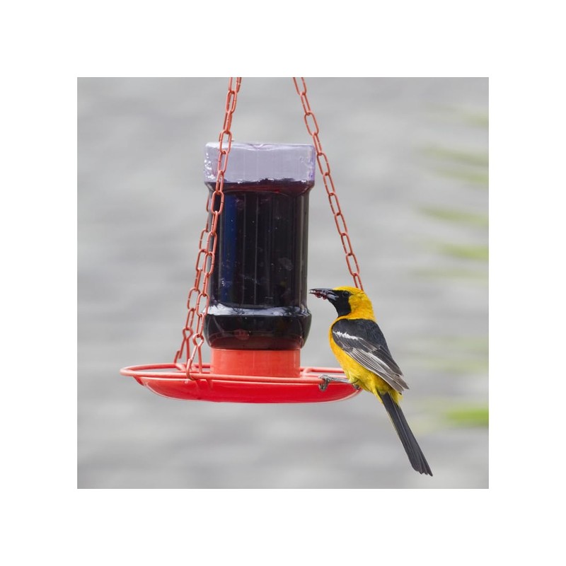 Perky Pet Jelly Feeder Oriole 32 Oz