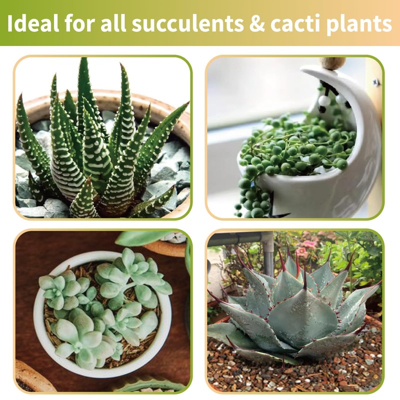 Doter Succulent & Cactus Soil Potting Mix 1qt, Chunky Dirt