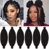 FFDDear 6 Packs Springy Afro Twist Hair 10 Inch Pre-Separated