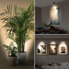 3Pack Battery Operated Indoor Plants SpotLight ,Tree Light Picture light