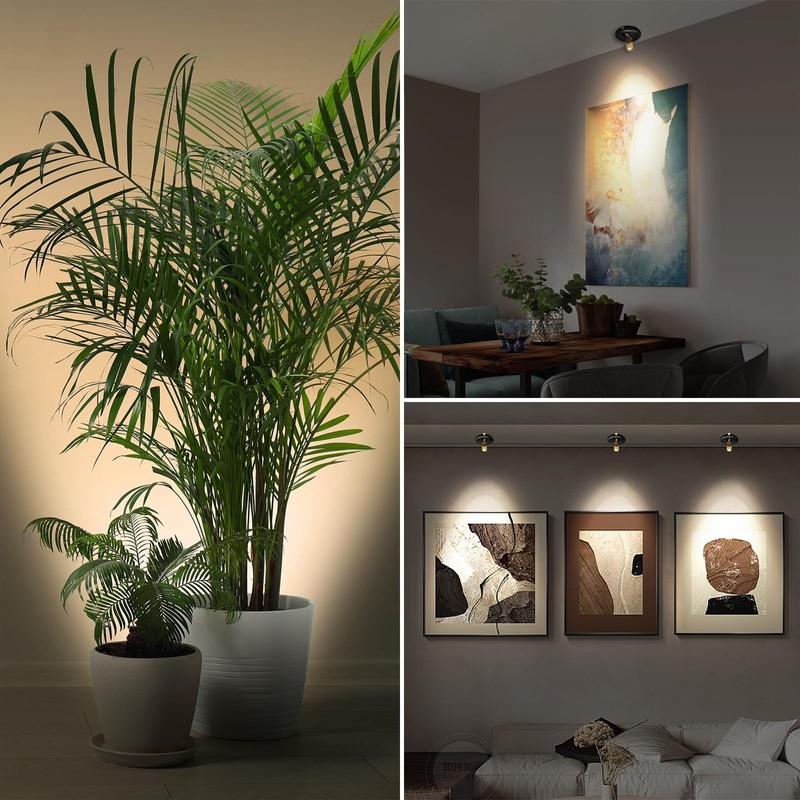 3Pack Battery Operated Indoor Plants SpotLight ,Tree Light Picture light
