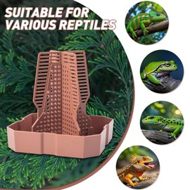 Reptile Feeder Bowls with Climbing Ladder for Chameleon,Bearded Dragon,Guardians Hunting Bugs Keep Training Terrarium Bowls for Lizards,Frogs,Geckos Other Small Pets,Brown (Large)
