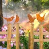 BSTDAYEVER Rust Birds Pack of 5 Metal Bird Reusable Rust