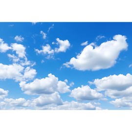 Riivvdise Aquarium Background Blue Sky Tiny Clouds Terrarium Backdrop Cumulus White Clouds in Clear Blue Sky Fish Tank Background Tank Aquarium Wallpaper Poster Reptile Habitat Backdrop Vinyl 30x12in