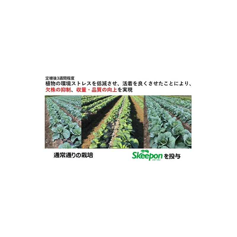 Skeepon Plant Activator, 33.8 fl oz (1000 ml)