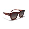 HAWKERS Unisex Culture Sunglasses, Red Carey, Unit size